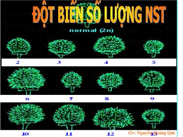 Bài giảng Đột biến số lượng NST