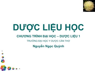 Bài giảng Dược liệu học - Nguyễn Ngọc Quỳnh