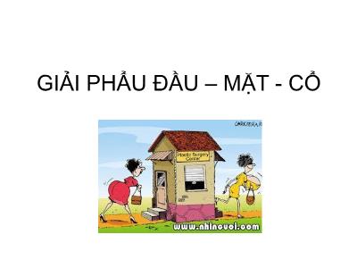 Bài giảng Giải phẫu Đầu-Mặt-Cổ