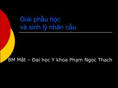 Bài giảng Giải phẫu học và sinh lý nhãn cầu