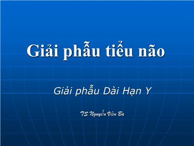 Bài giảng Giải phẫu tiểu não - TS Nguyễn Văn Ba