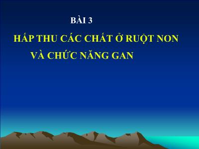 Bài giảng Hấp thu các chất ở ruột non và chức năng gan