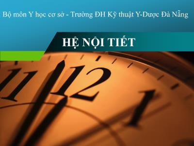 Bài giảng Hệ nội tiết