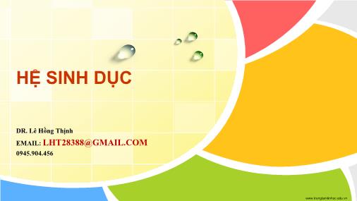 Bài giảng Hệ sinh dục - Lê Hồng Thịnh