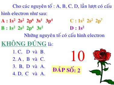 Bài giảng Hệ thống tuần hoàn