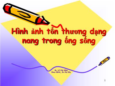 Bài giảng Hình ảnh tổn thương dạng nang trong ống sống - Lê Văn Dũng