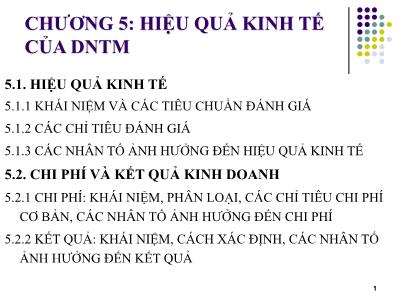 Bài giảng Kinh tế doanh nghiệp thương mại - Chương 5: Hiệu quả kinh tế của DNTM