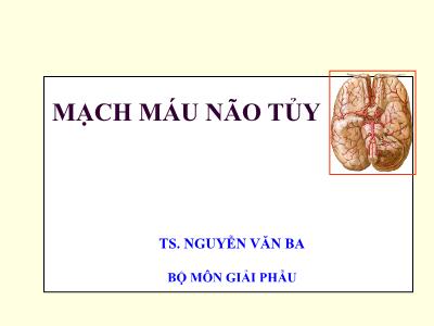 Bài giảng Mạch máu não tủy - TS. Nguyễn Văn Ba