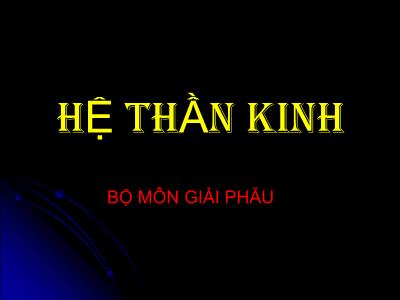 Bài giảng môn giải phẫu: Hệ thần kinh