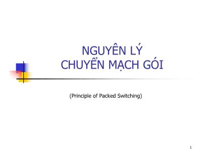 Bài giảng Nguyên lý chuyển mạch gói (Principle of Packed Switching)