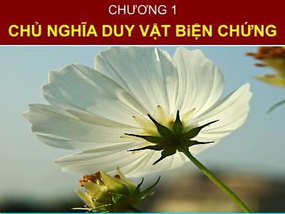 Bài giảng Những nguyên lý cơ bản của chủ nghĩa Mác-Lênin - Chương 1: Chủ nghĩa duy vật biện chứng