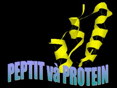 Bài giảng Peptit và protein