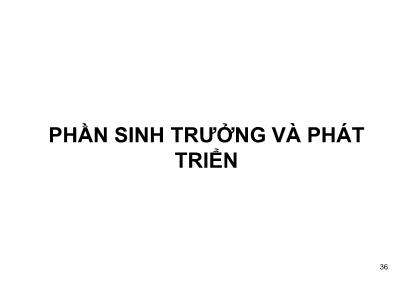 Bài giảng Phần sinh trưởng và phát triển