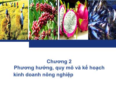 Bài giảng Quản trị kinh doanh - Chương 2: Phương hướng, quy mô và kế hoạch kinh doanh nông nghiệp Template