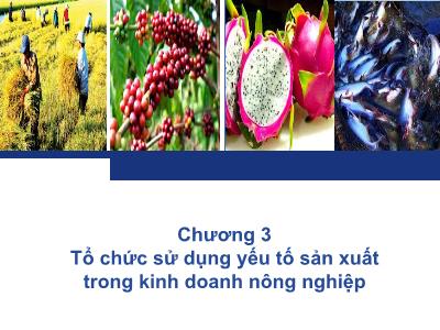 Bài giảng Quản trị kinh doanh - Chương 3: Tổ chức sử dụng yếu tố sản xuất trong kinh doanh nông nghiệp