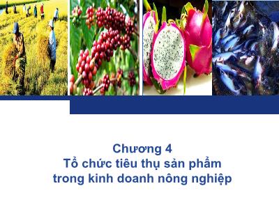 Bài giảng Quản trị kinh doanh - Chương 4: Tổ chức tiêu thụ sản phẩm trong kinh doanh nông nghiệp