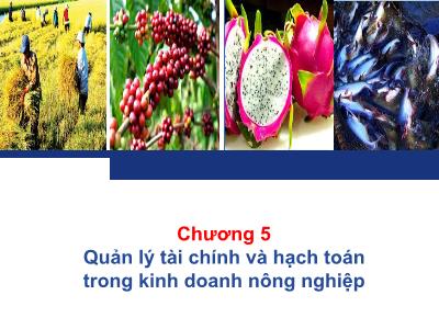 Bài giảng Quản trị kinh doanh - Chương 5: Quản lý tài chính và hạch toán trong kinh doanh nông nghiệp