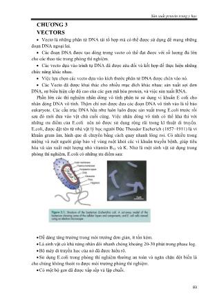 Bài giảng Sản xuất protein trong y học - TS. Trần Hoàng Dũng (Phần 2)