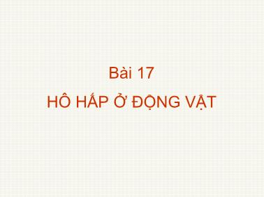 Bài giảng Sinh học - Bài 17: Hô hấp ở động vật