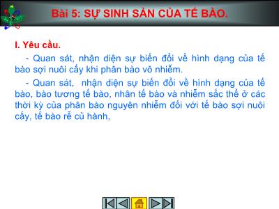 Bài giảng Sinh học - Bài 5: Sự sinh sản của tế bào