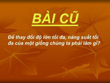 Bài giảng Sinh học - Bài 7, 8: Các phương pháp lai