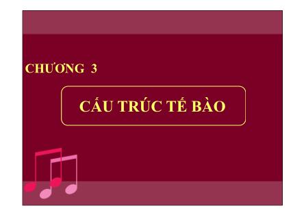 Bài giảng Sinh học  - Chương 3: Cấu trúc tế bào