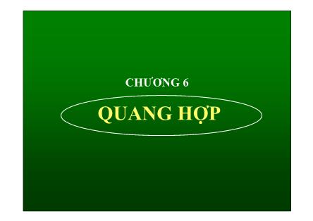 Bài giảng Sinh học - Chương 6: Quang hợp