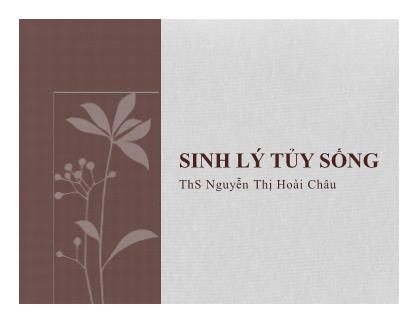 Bài giảng Sinh lý tủy sống - ThS Nguyễn Thị Hoài Châu