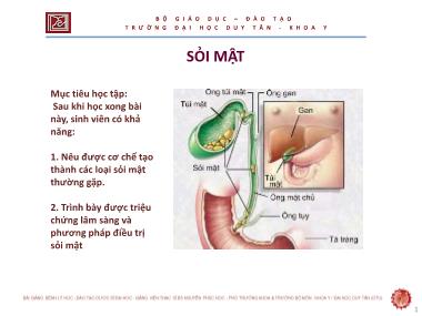 Bài giảng Sỏi mật - ThS. Nguyễn Phúc Học