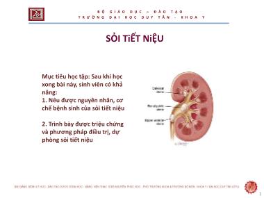 Bài giảng Sỏi tiết niệu - ThS. Nguyễn Phúc Học