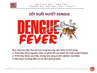 Bài giảng Sốt xuất huyết Dengue - ThS. Nguyễn Phúc Học