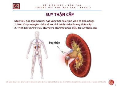 Bài giảng Suy thận cấp - ThS. Nguyễn Phúc Học