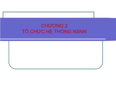 Bài giảng Tài chính công - Chương 2: Tổ chức hệ thống ngân sách nhà nước