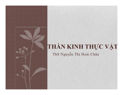 Bài giảng Thần kinh thực vật - ThS Nguyễn Thị Hoài Châu