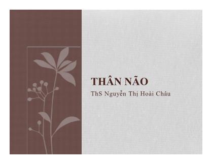 Bài giảng Thân não - ThS Nguyễn Thị Hoài Châu