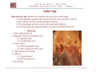 Bài giảng Thấp tim - ThS. Nguyễn Phúc Học