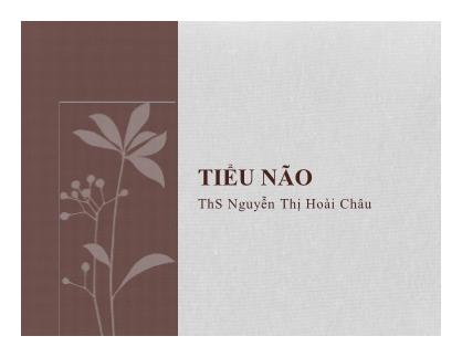 Bài giảng Tiểu não - ThS Nguyễn Thị Hoài Châu