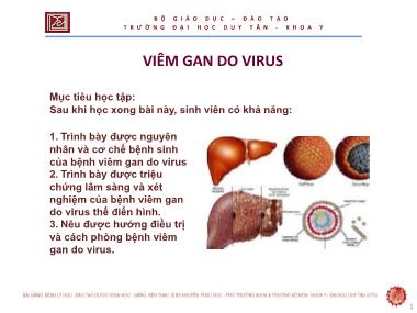 Bài giảng Viêm gan do virus - ThS. Nguyễn Phúc Học