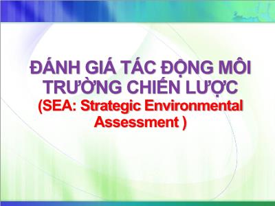 Đánh giá tác động môi trường chiến lược (SEA: Strategic Environmental Assessment )