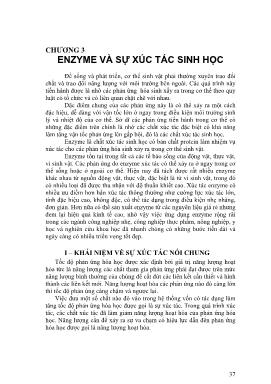 Enzyme và sự xúc tác sinh học