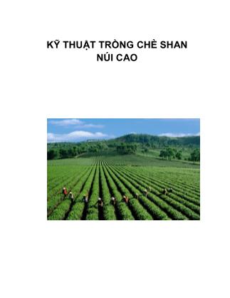 Kỹ thuật trồng chè Shan núi cao (Phần 1)