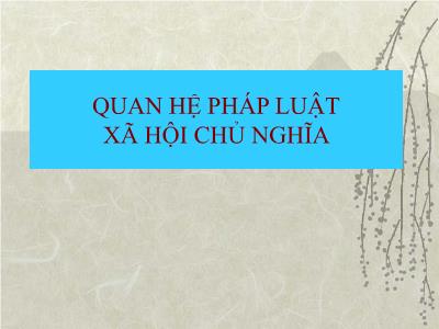 Quan hệ pháp luật xã hội chủ nghĩa