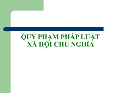 Quy phạm pháp luật xã hội chủ nghĩa