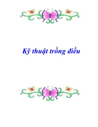 Tài liệu Kỹ thuật trồng điều