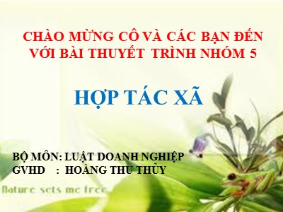 Bài giảng Luật doanh nghiệp: Hợp tác xã - Hoàng Thu Thủy