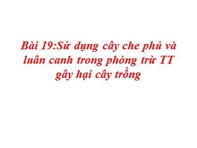 Sử dụng cây che phủ và luân canh trong phòng trừ TT gây hại cây trồng