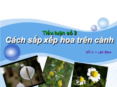 Tiểu luận Cách sắp xếp hoa trên cành