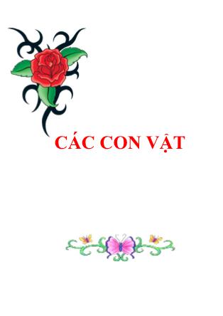 Bài giảng Các con vật