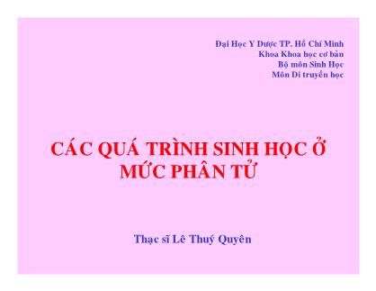 Bài giảng Các quá trình sinh học ở mức phân tử - ThS Lê Thuý Quyên