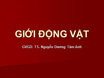 Bài giảng Giới động vật - TS. Nguyễn Dương Tâm Anh